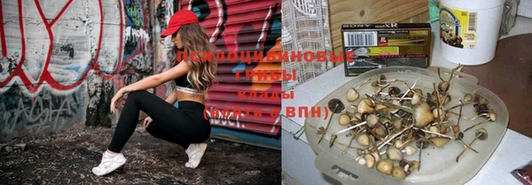 2c-b Алексеевка