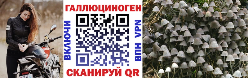 Псилоцибиновые грибы Psilocybe  блэк спрут ССЫЛКА  Полысаево 