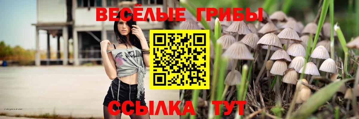 Псилоцибиновые грибы Psilocybe Полысаево