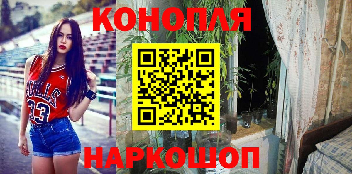 Бошки Шишки MAZAR  Вход с VPN  Бошки Шишки THC 21%  Бошки марихуана сатива  Марихуана Amnesia  Полысаево 